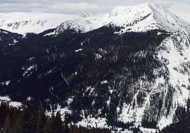 Burke Martin Trees Montezuma CO