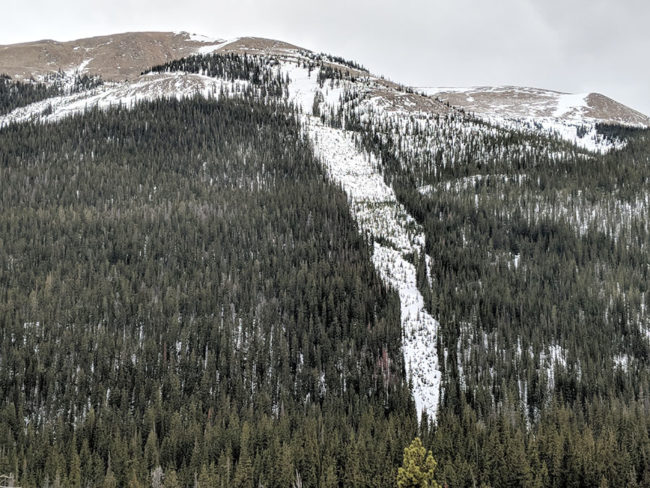 Breakfast Chute