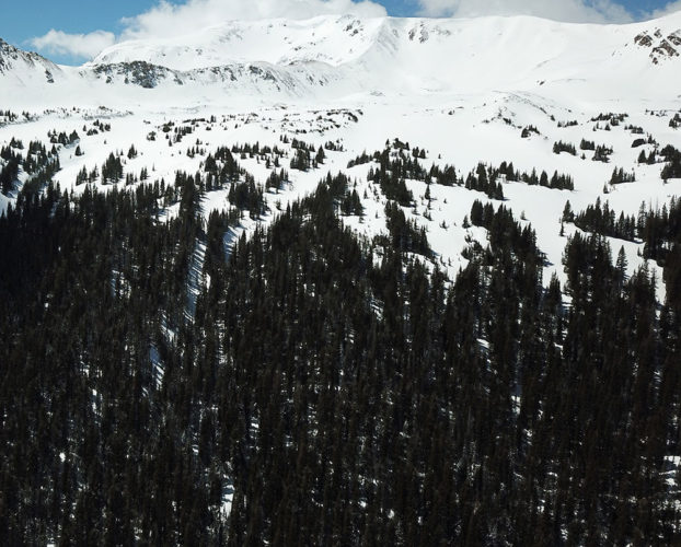 Butler Gulch Bowl