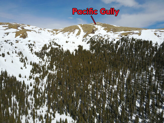 Pacific Gully