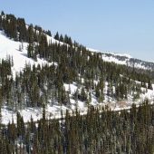 Continental Divide Trail Berthoud