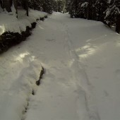 Mining Road in Mayflower Gulch