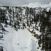 The Hippie Trees Skiers Left