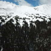 Butler Gulch Meadows