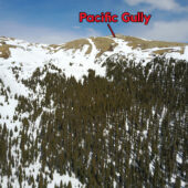 Pacific Gully